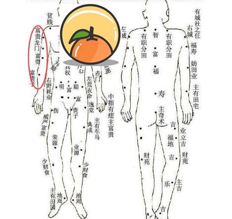 手臂上有痣|從手上的痣看你的好運在哪？上手臂有痣善於 ...